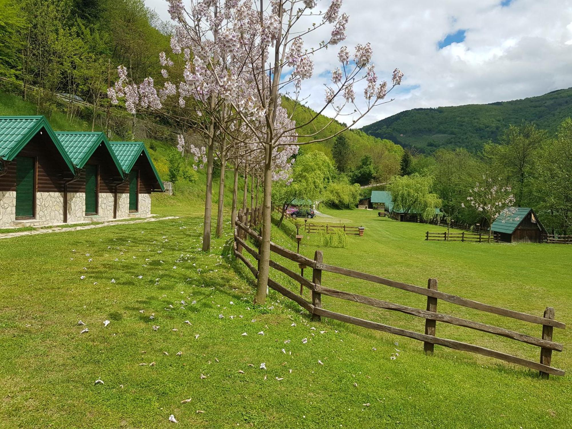 Camping Drina Foca Bagian luar foto